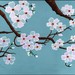 KBlossoms