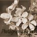 photobyjodi