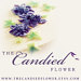 TheCandiedFlower