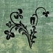The Polish Sage