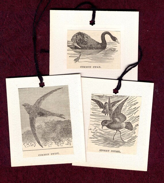 Buy gift tags and cards handmade - Vintage Birds Of A Feather Ornaments Gift Tag Cards Handmade Set Of Three