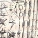 Knots & Splices 1871 Steampunk Victorian Era Nautical Illustration For Framing
