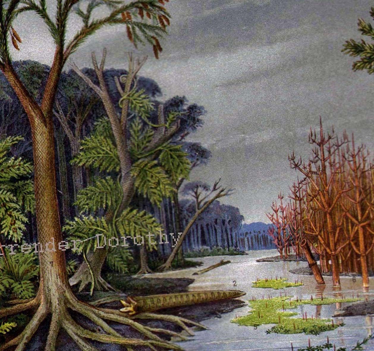Pictures+of+the+Devonian+Period Pictures of the Devonian Period http://www.etsy.com/listing/69973234 ...