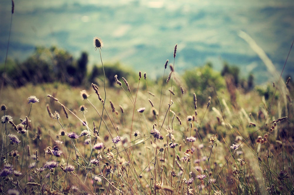 Mountain Still - Photo print 15x20cm