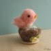 Mama Bird and Nest - Pink