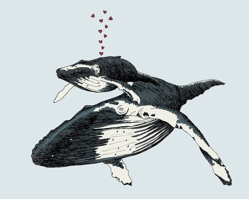 Whale Always Be Together 11x14 print