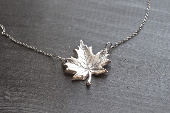 maple.