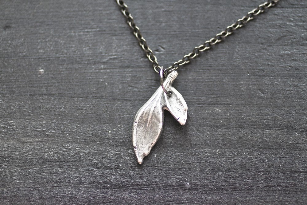 leaves.