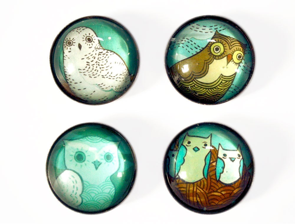 OWL fridge magnets set - boygirlparty glass magnets - retro turquoise blue owl artwork - refrigerator magnets