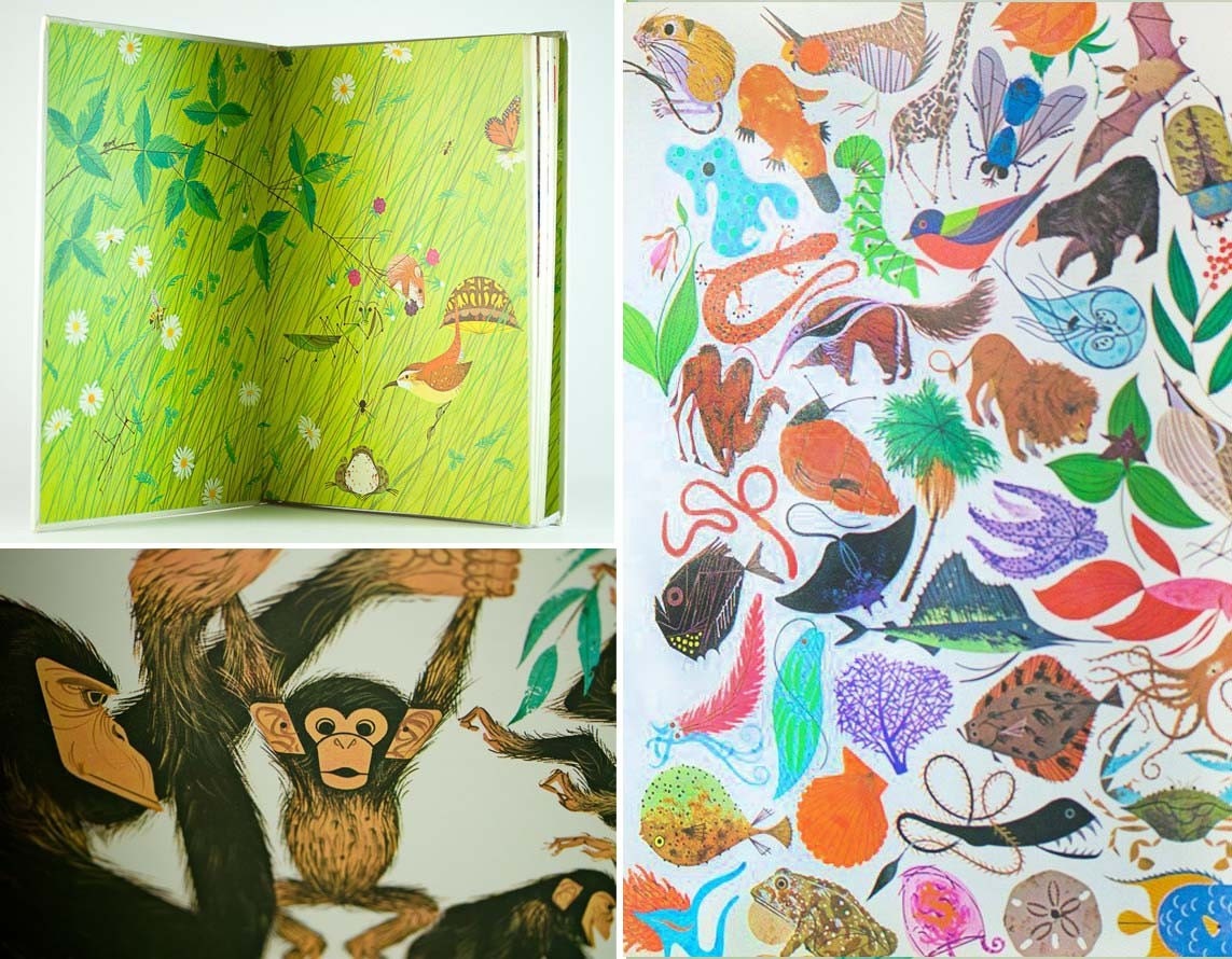 Golden Book of Biology - Charley Harper FULL COLOR Illustrations 1962 French