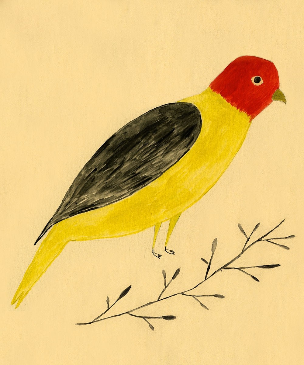 Le Perroquet