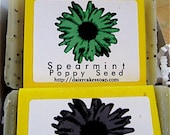 All Natural Mint and Clay Soap Gift Box