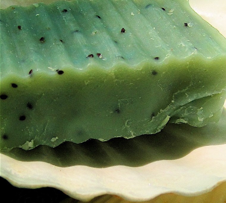 Sea Moss with Blueberry Seed, a Scrubby Hand and Body Soap