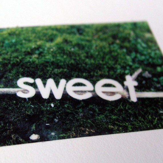 Polaroid Pogo Photography Print - Sweet Moss
