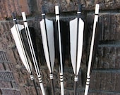 Archery Arrows Hunger Games Inspired Black and White Home Decor
