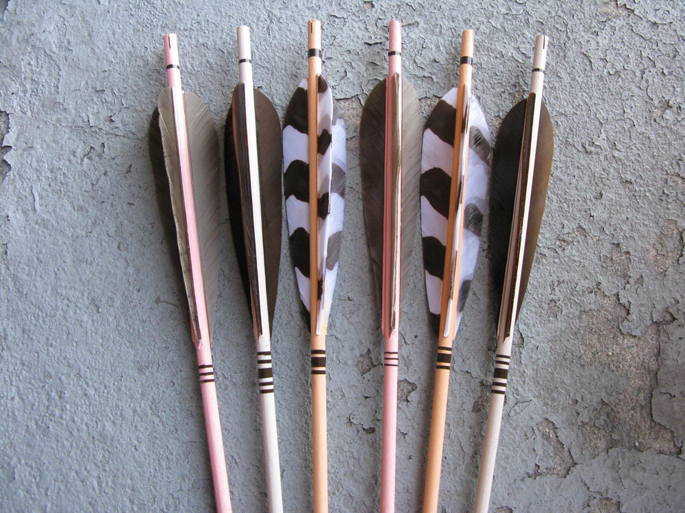Animal Print Feathers on Archery Arrows for Home Decor Wall Display