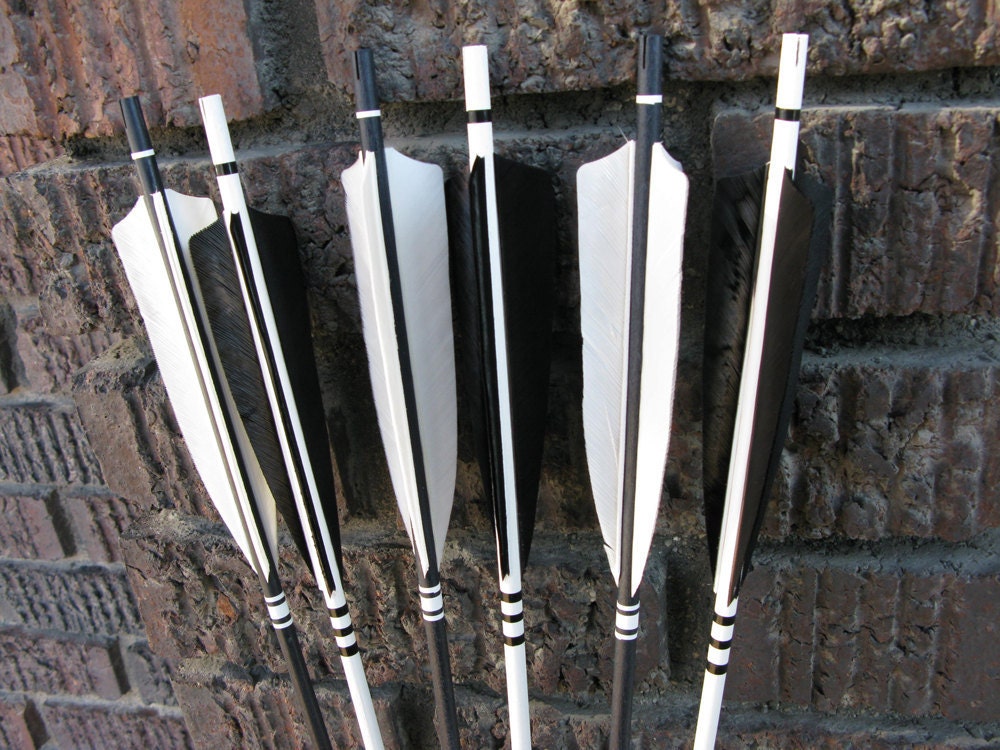 Archery Arrows Hunger Games Inspired Black and White Home Decor