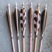 Safari Animal Print Arrows Wildlife Feathers Spotted Decor
