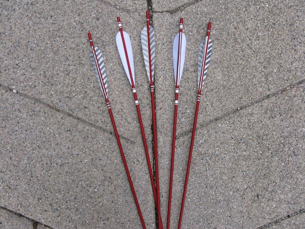Valentines Day Gift Arrow Bouquet Red Love Cupid's Arrow