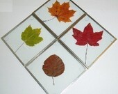 KIT: Glass Coaster Kit, SILVER-tone, use with your pressed flowers, pictures, leaves, create a garden gift--DIY