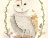 Barn Owl