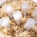 Perfume Oil Sampler - great gift for him or her - Pink Sugar White Tea Ginger Blue Buckland Surfer Dude Dragon etc PICK 6