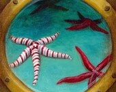 Art Print 5x7: View From The Deep End