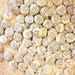 Handmade Wedding Favors - 100 1 Inch Pinback Buttons - Words Enough For A Lifetime Together