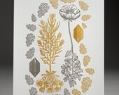 Amidst Routes Letterpress Print - Limited Edition
