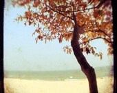 Autumn Photograph - Beach Photograph - Michigan Photography - Burnt Orange and Blue- Original Signed Photograph