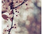 If I Were A Flower- Original Signed Fine Art Photograph