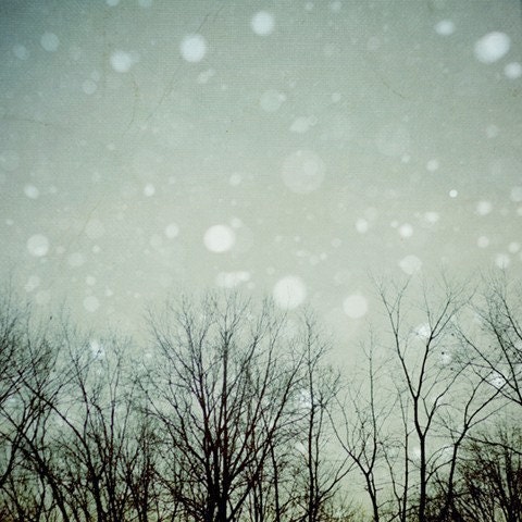 Visions- Orginal Signed Fine Art Photograph