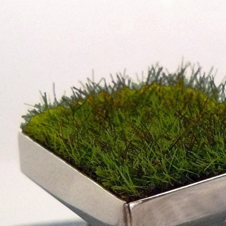 RESERVED Gather, Square Moss Ring