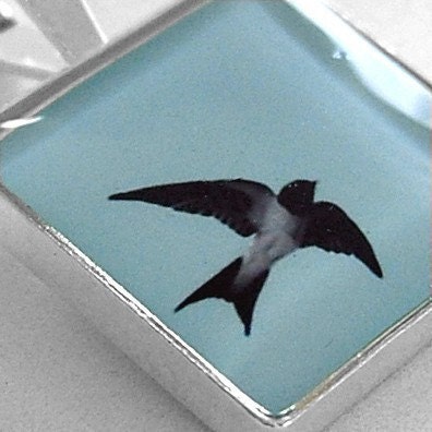 Photo Pendant, Swiftly