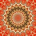 Red and Tan Kaleidoscope