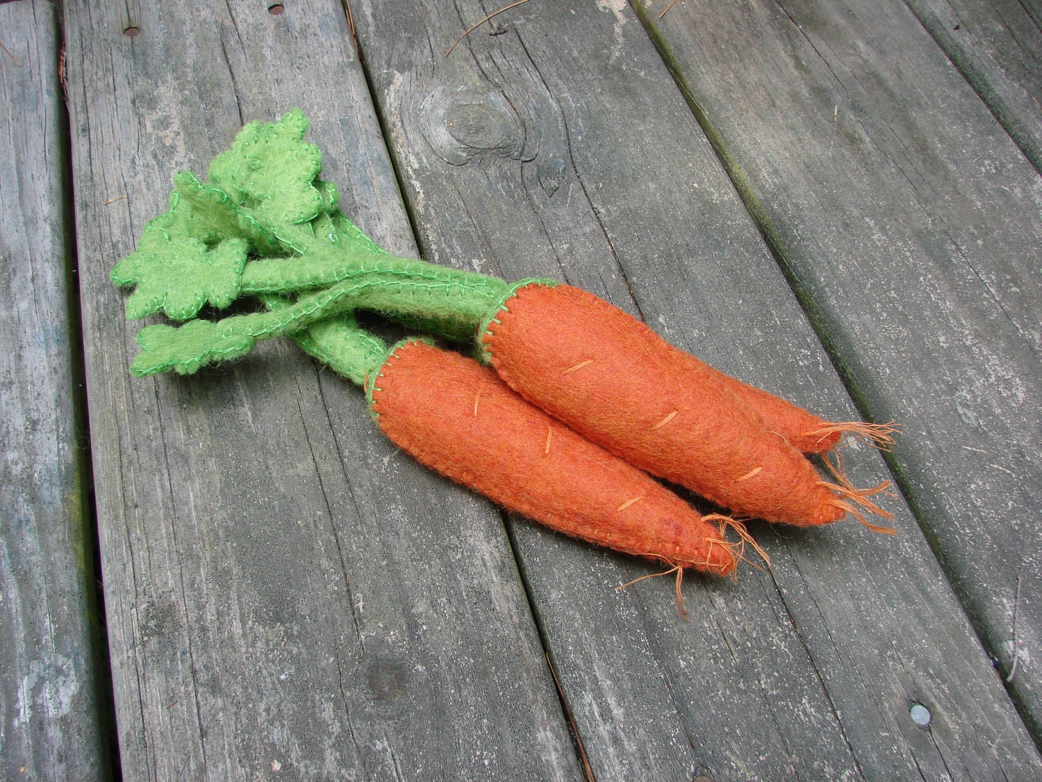 Bunch of Carrots