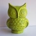 Ceramic Owl Bank Vintage Design in Apple Green