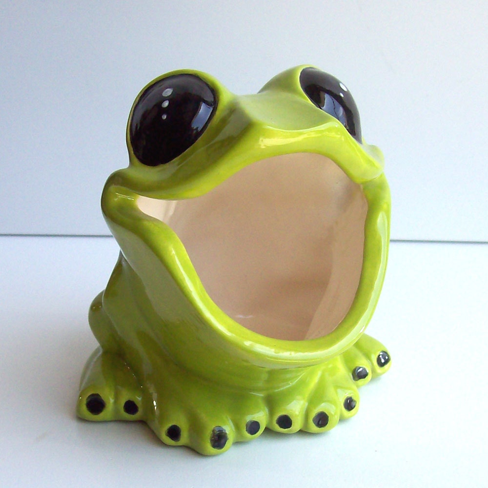 Tree Frog Sponge holder  In Apple Green