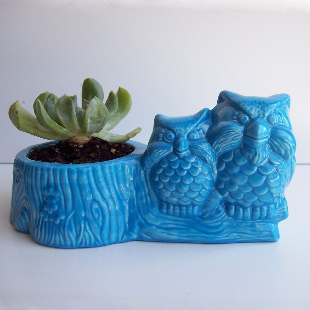 Owls on Tree Stump Windowsill Planter Vintage Design Orange