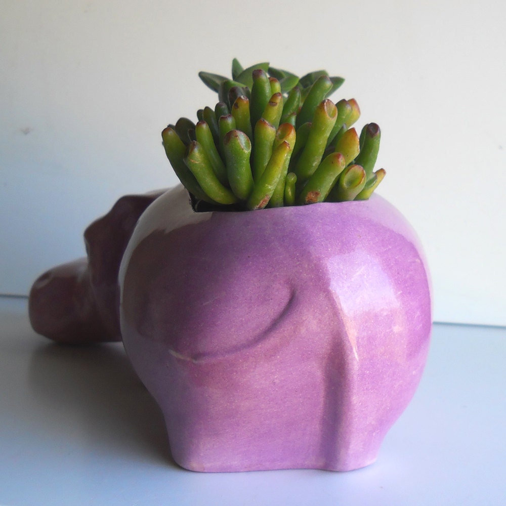 Ceramic Hippo Planter Vintage Design Lavender