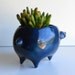 Ceramic Pig Planter Vintage Design in Navy