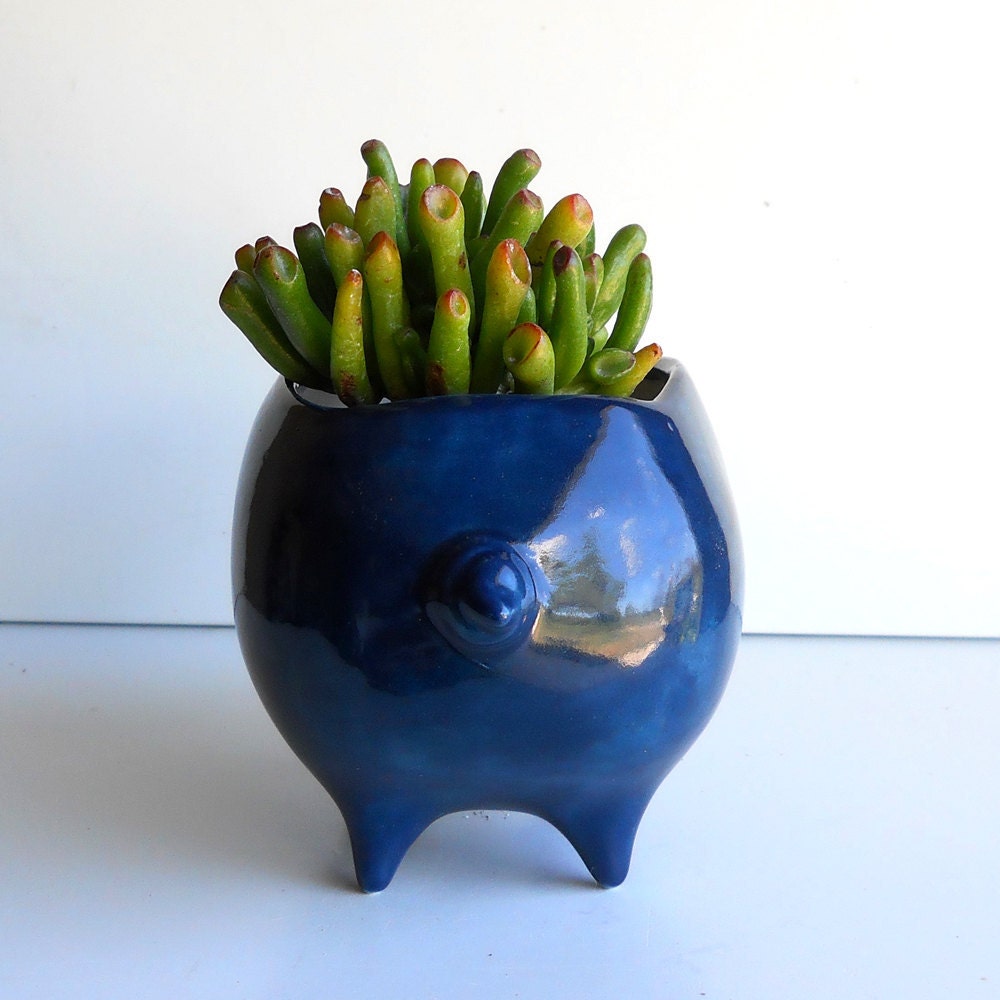 Ceramic Pig Planter Vintage Design in Navy