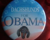 black and tan dachshund for obama button