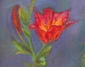 Original Pastel Drawing Radiant Lily Pastel Painting Art Matted and Ready To Frame