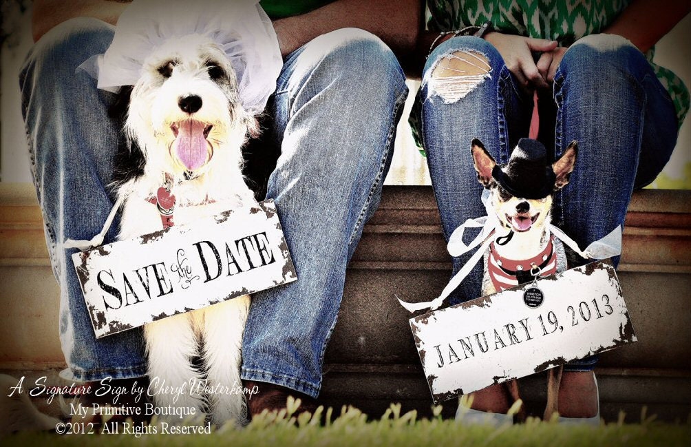 SAVE the DATE Sign Set for the DOGS , Vintage Photography , Photo Props , Vintage Wedding Signs