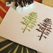 Evergreen Tree Rubber Stamp