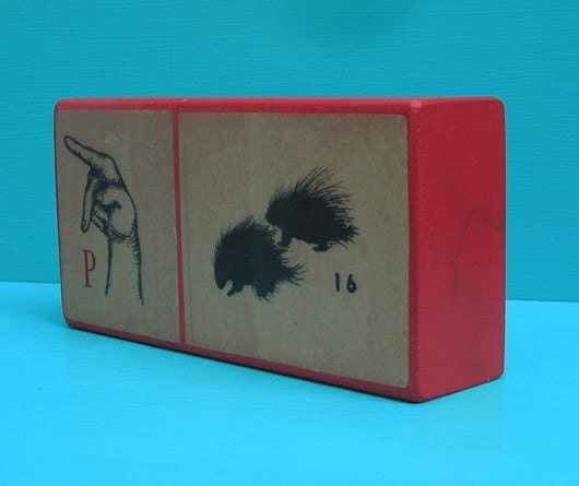 P is for Porcupine