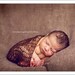 brown wrap with sequins