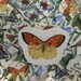 Sakura Butterfly Mosaic Tiles w/ Large Focal Art Tile