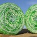 Fingering Weight Yarn - Merino Wool Superwash - Self Striping Yarn - Anemone